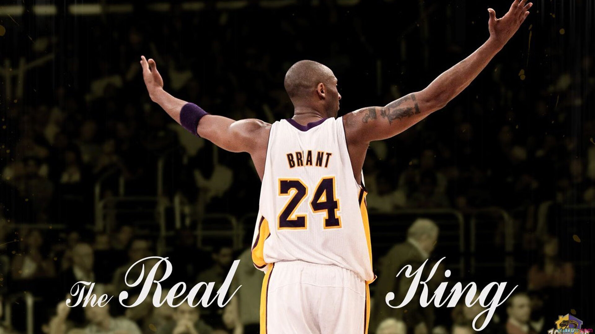 独行侠式英雄主义,浓眉化身关键先生,决胜局带走辽宁队